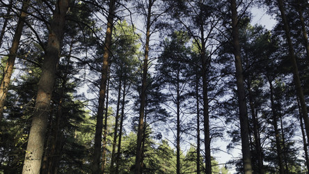 Similar image 22502307