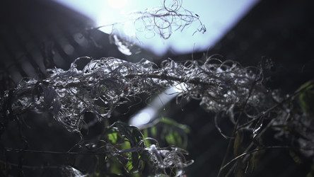 Similar image 22502338