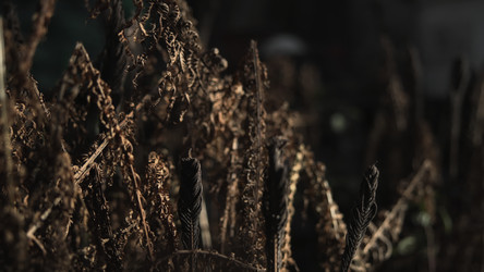 Similar image 22502414