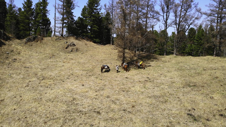 Similar image 22502654