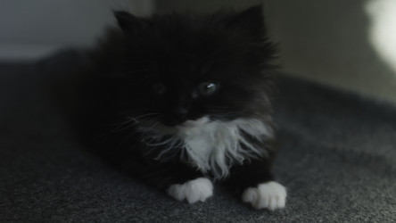 Similar image 22502683