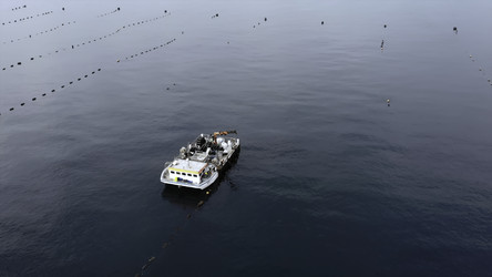 Similar image 22502700