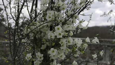 Similar image 22502909