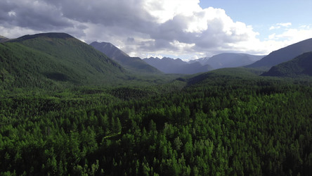 Similar image 22504389