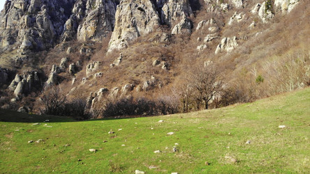 Similar image 22504480