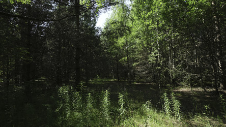 Similar image 22504721