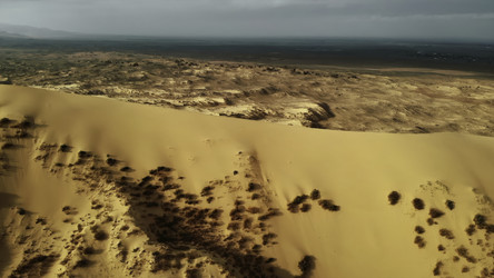 Similar image 22502084