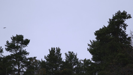 Similar image 22502174