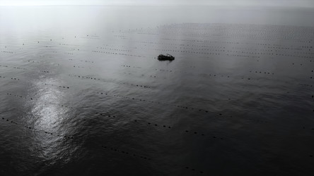 Similar image 22502416