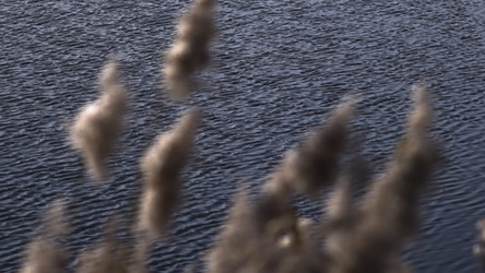 Similar image 22502490