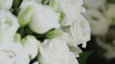 Similar image 22502594