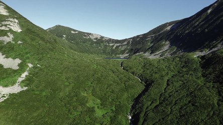 Similar image 22502595