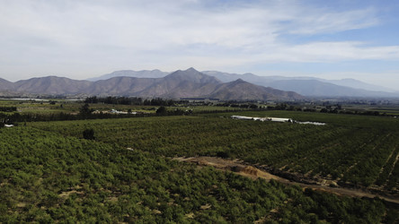 Similar image 22504046