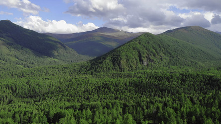 Similar image 22504075