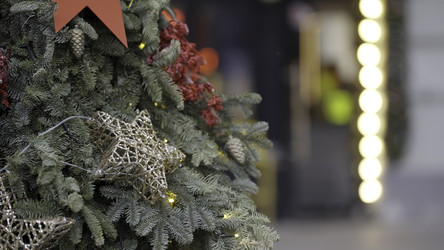 Similar image 22504256