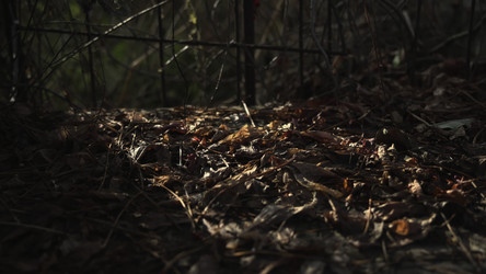 Similar image 22504257