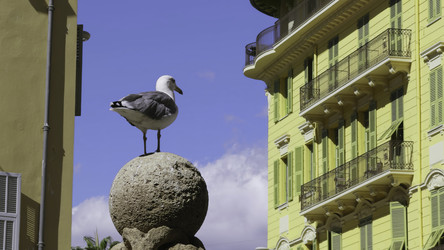 Similar image 22530971