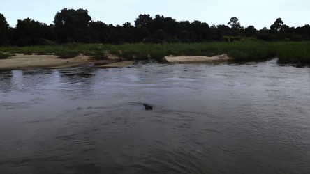 Similar image 22531110