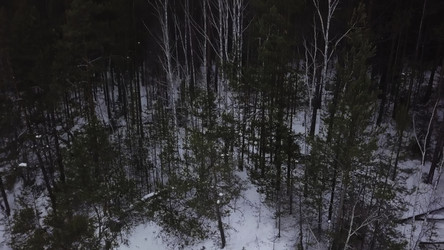 Similar image 22502053