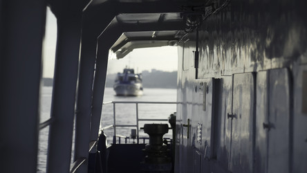 Similar image 22502085