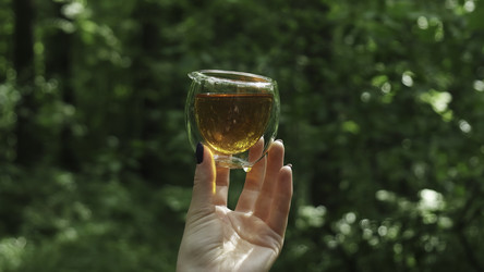 Similar image 22502117