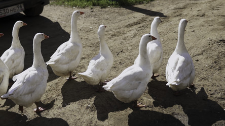 Similar image 22502596