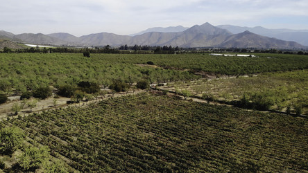 Similar image 22502818