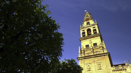 Similar image 22503015