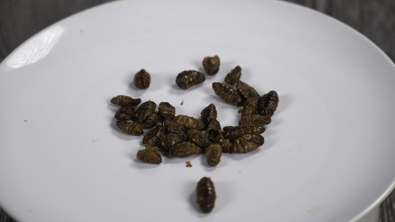 Similar image 22504001