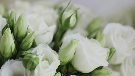 Similar image 22504077