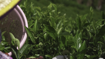 Similar image 22504091