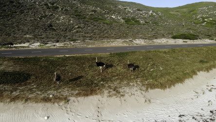 Similar image 22504107
