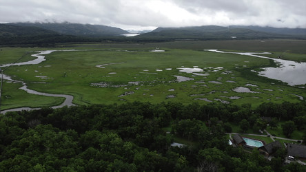 Similar image 22504482