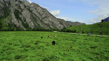 Similar image 22504557