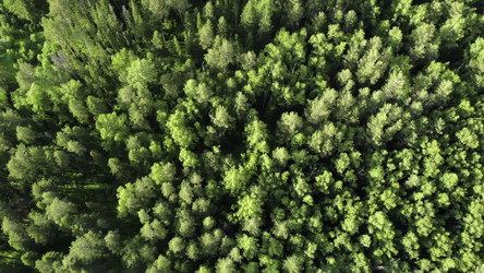 Similar image 22504792