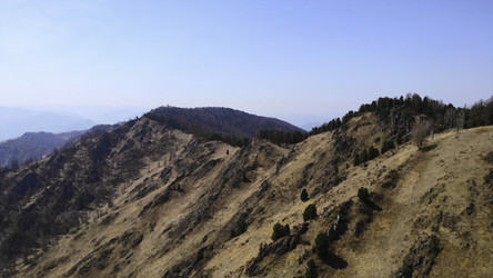 Similar image 22531599