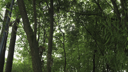 Similar image 22502039