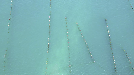 Similar image 22502055