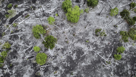 Similar image 22502148