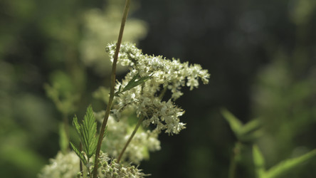 Similar image 22502193