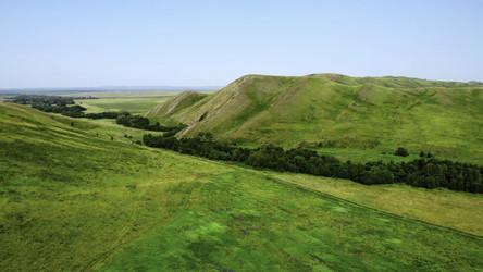 Similar image 22503067