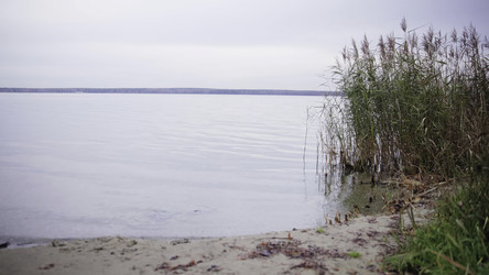 Similar image 22503081