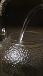 Similar image 22503083