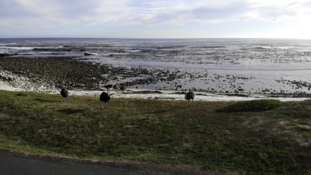 Similar image 22503261