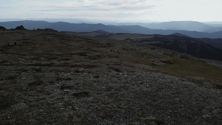 Similar image 22503263