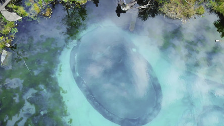 Similar image 22503552