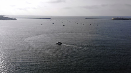 Similar image 22503597