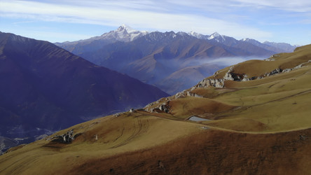 Similar image 22503625