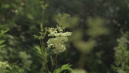 Similar image 22502057