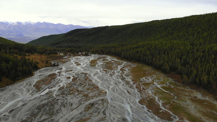 Similar image 22502119